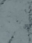 Уход за двигателями, работающими на генераторном газе 1945_zmij.png